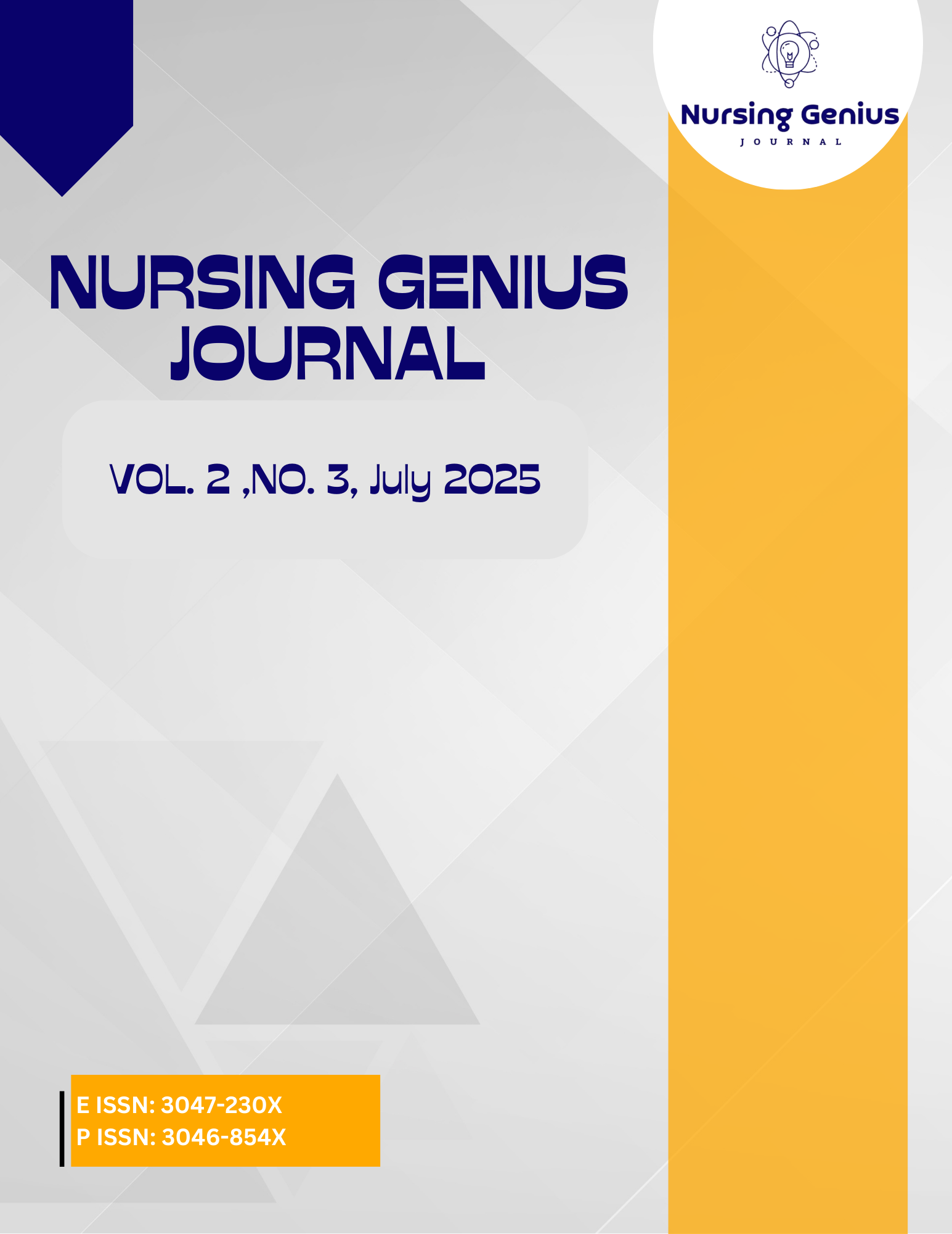 Nursing Genius Journal Vol. 2 No. 3 July 2025
